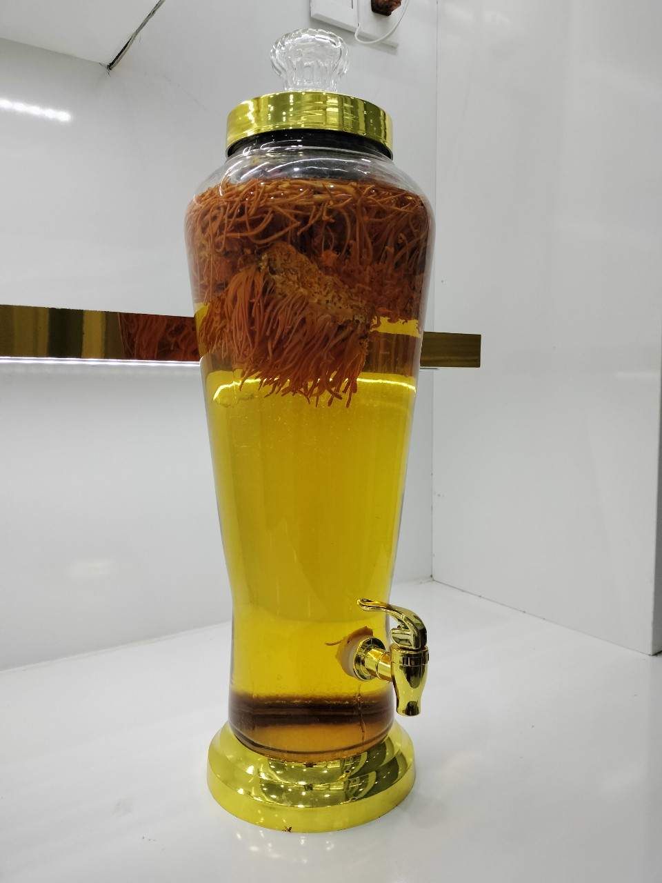 Rượu Đông Trùng Hạ Thảo 