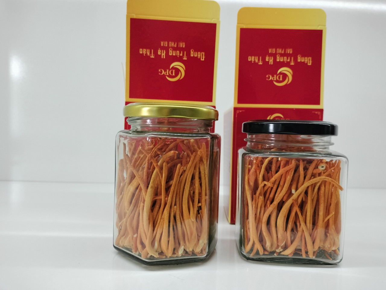 Đông trùng hạ thảo sấy khô 2 hủ (15g/hủ)